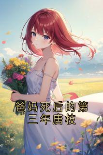 爸妈死后的第三年唐枝