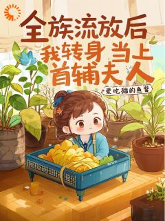 全族流放后，我转身当上首辅夫人