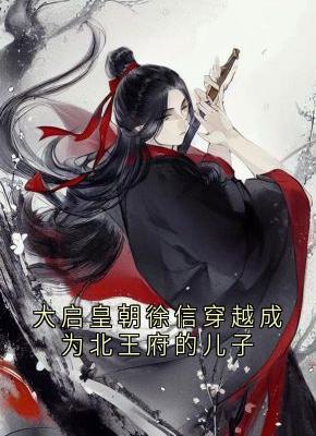 大启皇朝徐信穿越成为北王府的儿子
