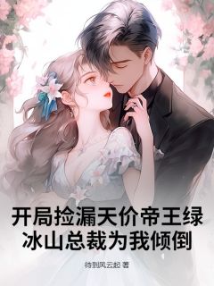 开局捡漏天价帝王绿，冰山总裁为我倾倒