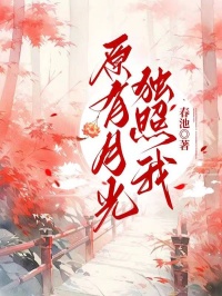 原有月光独照我