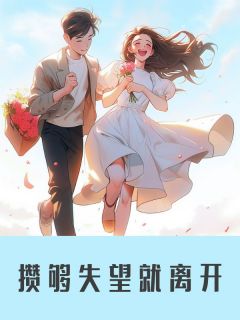 攒够失望就离开