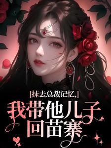 抹去总裁记忆，我带他儿子回苗寨