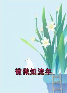 微微知流年