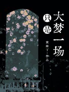 只是大梦一场