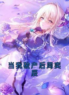 当我破产后周奕辰