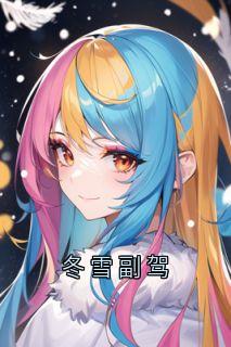 冬雪副驾