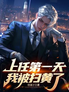 上任第一天，我被扫黄了？