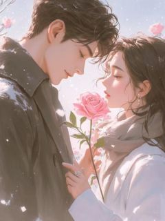 萧景逸雪琪大结局