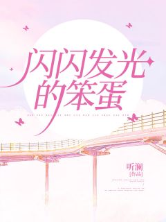 闪闪发光的笨蛋