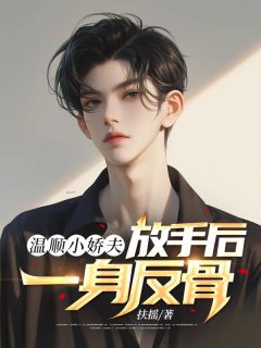温顺小娇夫，放手后一身反骨