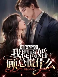 婚内高冷，我提离婚顾总慌什么