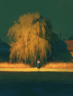 为国宝计划充当诱饵，儿子骂我走私犯