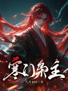 现代军工专家林岩穿越