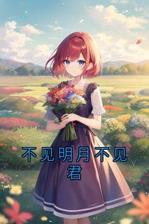 不见明月不见君