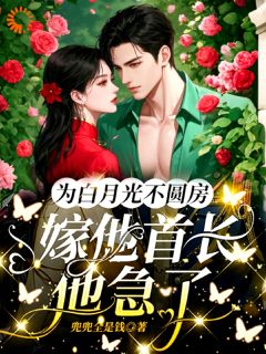 为白月光不圆房，嫁他首长他急了