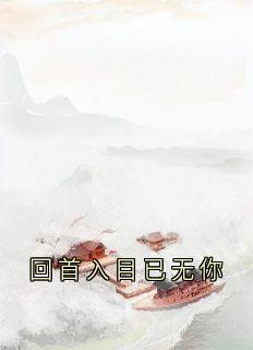 回首入目已无你