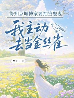 得知京城傅家要抽签娶妻，我主动去当金丝雀