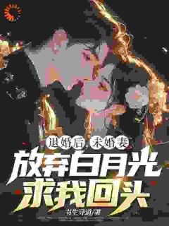 退婚后，未婚妻放弃白月光求我回头