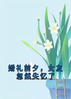 婚礼前夕，女友忽然失忆了