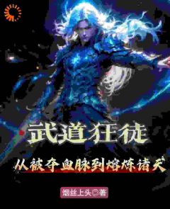 武道狂徒：从被夺血脉到熔炼诸天