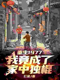 重生1977，我竟成了家中独棍