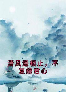 清风遥相止，不复绕君心