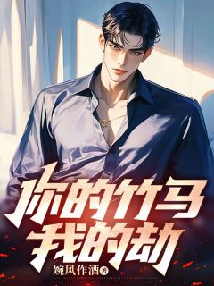 婉风作酒你的竹马我的劫
