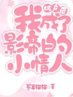 破产后，我成了影帝的小情人