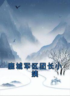 鹿城军区团长小姨