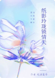 纸影玲珑锁情天