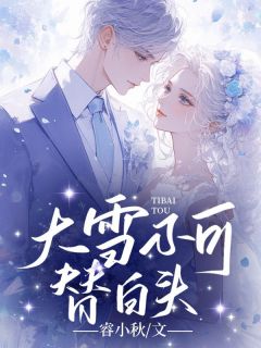 大雪不可替白头