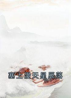 塞上漫天星辰落