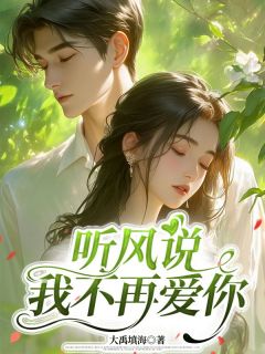 听风说我不再爱你