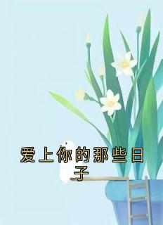 爱上你的那些日子