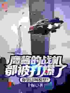 鹰酱的战机都被打爆了，你管这叫模型？