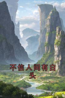 不信人间有白头