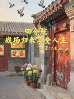 四合院战场归来享受人生