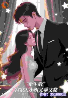 重生后，宫家大小姐又乖又黏
