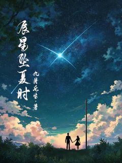 辰星坠夏时