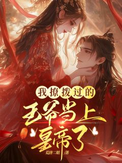 我撩拨过的王爷当上皇帝了