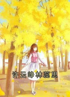 许云峥林蕊思
