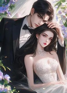 落日余烬，青松未凋