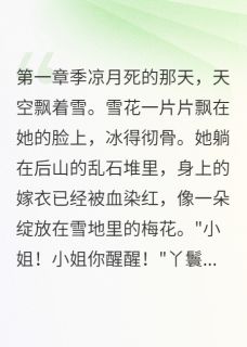 雪夜葬红妆，重生烬中花