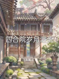 四合院岁月激流