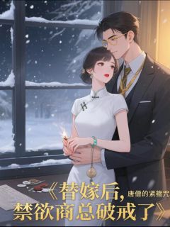 替嫁后，禁欲商总破戒了