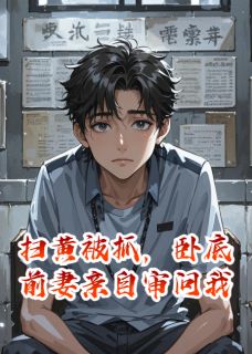 扫黄被抓，卧底前妻亲自审问我