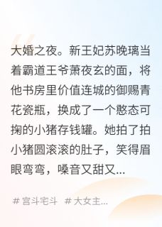 霸道王爷俏王妃