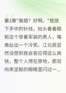 军官老公假离婚我爽快答应了