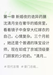 我斗垮了恶婆婆